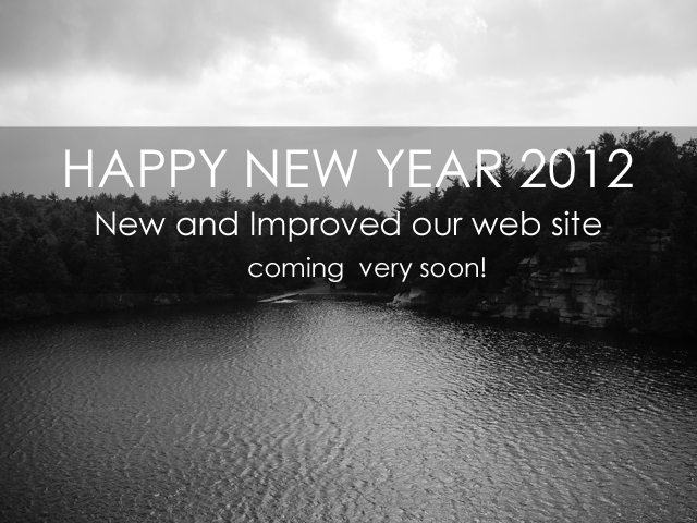HAPPY NEW YEAR 2012