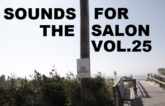 SOUNDS FOR THE SALON VOL.25   LAST SUMMER