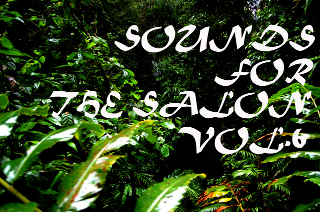 SOUNDS FOR THE SALON VOL.6