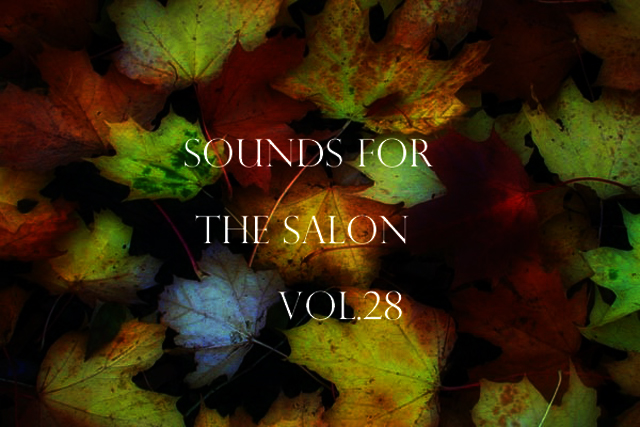 SOUNDS FOR THE SALON vol.28　on the way dream....